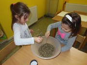 Vůně bylinek a čajů